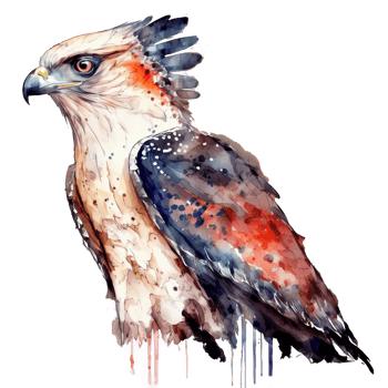 Thunderbird watercolor illustration isolated, png
