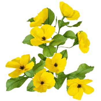 Pansy Yellow flowers png