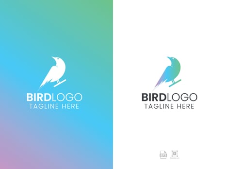 Bird logo design vector