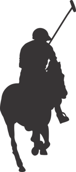 Polo sports player png