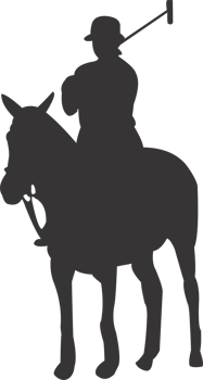 Polo sports player png