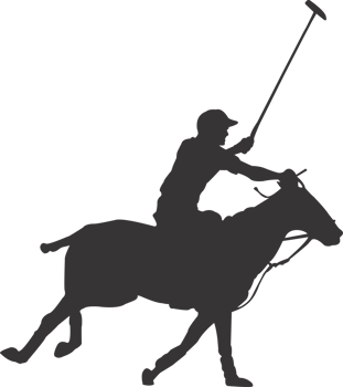 Polo sports player png