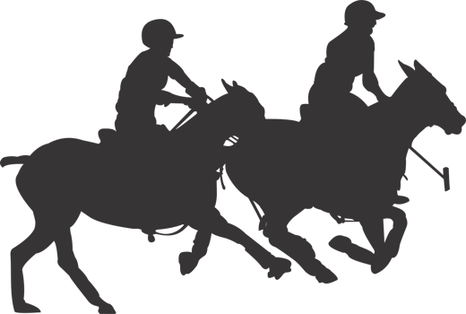 Polo sports player png