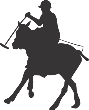 Polo sports player png