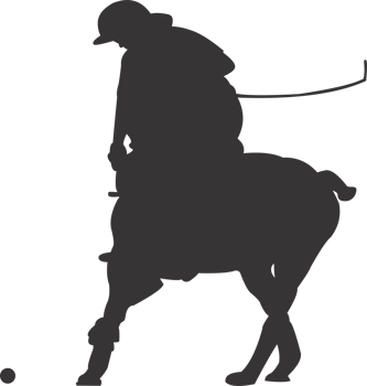 Polo sports player png