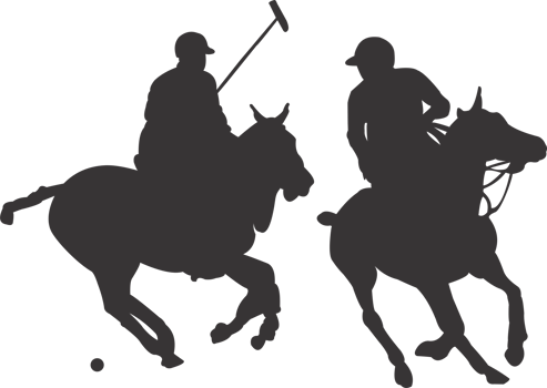 Polo sports player png