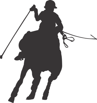 Polo sports player png