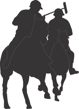 Polo sports player png