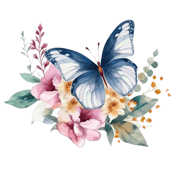 Watercolor butterfly and bouquets spring flowers . png