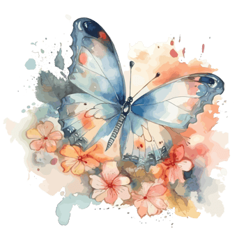 Watercolor butterfly and bouquets spring flowers . png