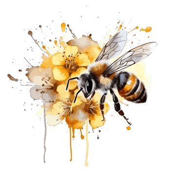 watercolor bee honeycomb honey flowers . png