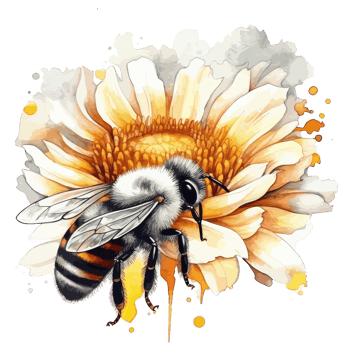 watercolor bee honeycomb honey flowers . png