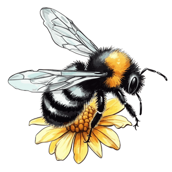 watercolor bee honeycomb honey flowers . png