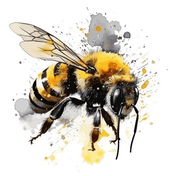 watercolor bee honeycomb honey flowers . png