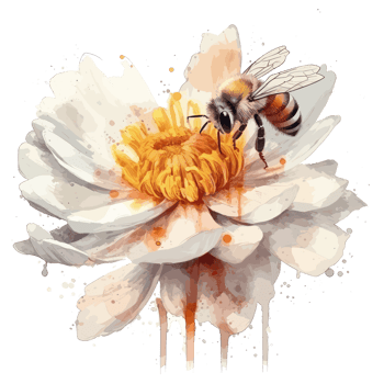 watercolor bee honeycomb honey flowers . png