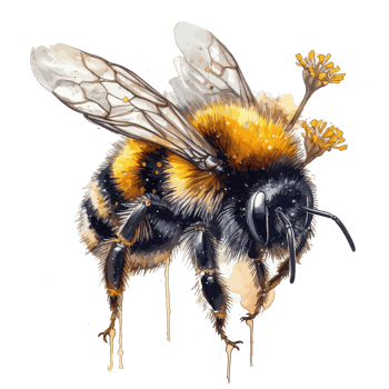 watercolor bee honeycomb honey flowers . png