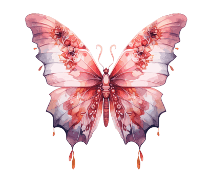 Watercolor colorful butterfly and flower . png