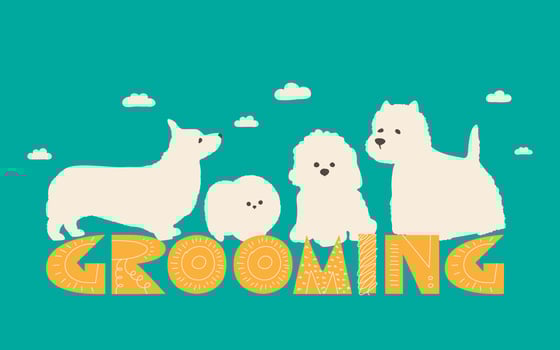 Dog grooming services. Illustration for a haircut and grooming salon. Flat color vector for pet shop.