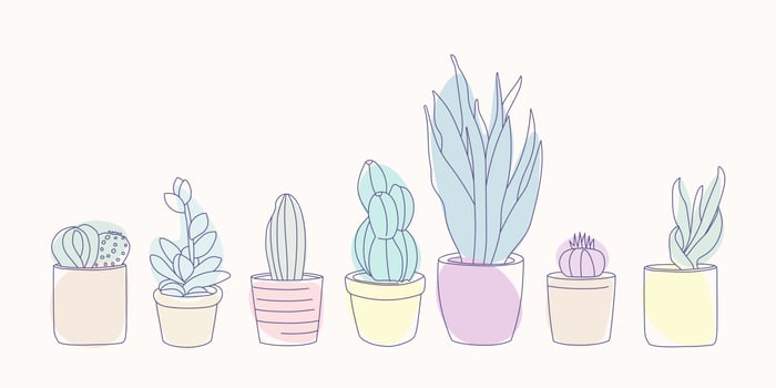 Set of trendy succulents and cactus plants in a pottery garden on white background. Vector illustration for design, greeting cards, posters indoor plants.