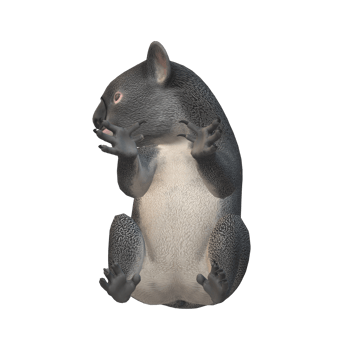 Koala Bear isolated on a Transparent Background png