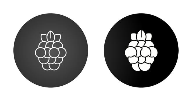Raspberry Vector Icon