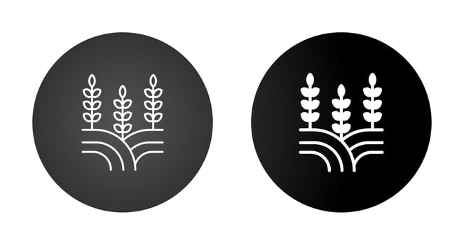 Field Vector Icon