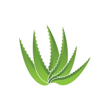 Aloe Vera logo icon design symbol beauty vector
