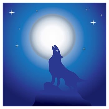 Night with full moon moonlight outdoor view illustration vector