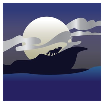 Night with full moon moonlight outdoor view illustration vector