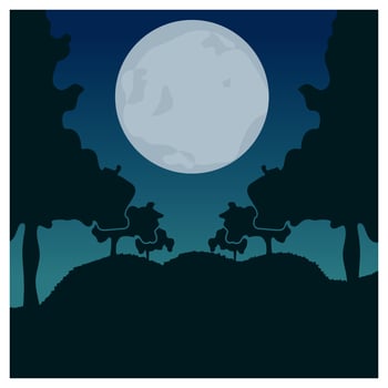 Night with full moon moonlight outdoor view illustration vector