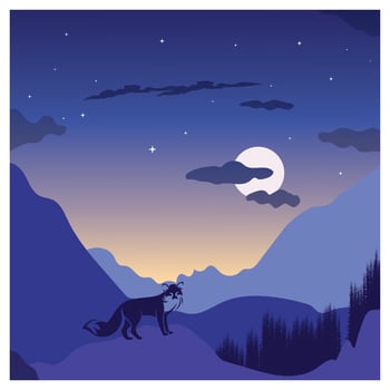 Night with full moon moonlight outdoor view illustration vector