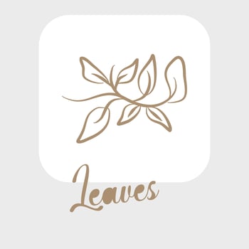 Line art leaves and outline leaf for beauty wedding invitation vector