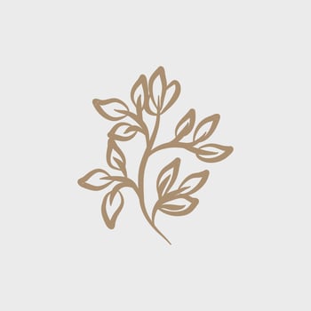 Line art leaves and outline leaf for beauty wedding invitation vector
