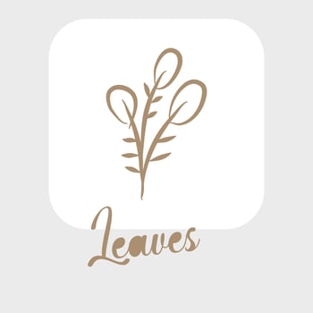 Line art leaves and outline leaf for beauty wedding invitation vector