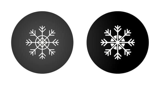 Snowflake Vector Icon
