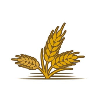 Ripe wheat illustration, Wheat Agriculture Logo vector for flour, bread, cereals and other products