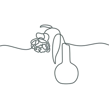 flower line art drawing vector
