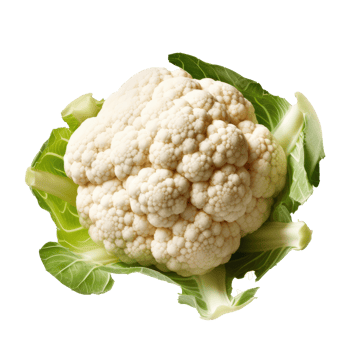 Cauliflower isolated. Illustration png