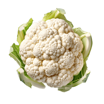 Cauliflower isolated. Illustration png