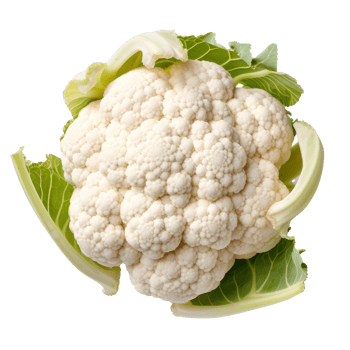 Cauliflower isolated. Illustration png