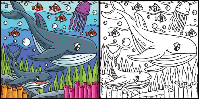 Mother Whale Sharks Baby Whale Sharks Illustration vector