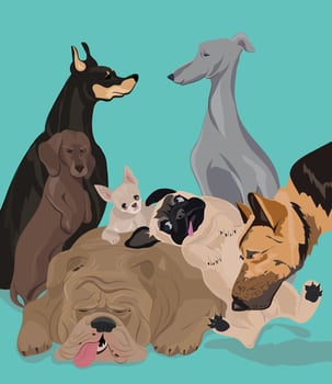 Funny Dogs in Group Pose vector