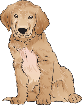 dogs puppy portrait watercolor realistic png illustration