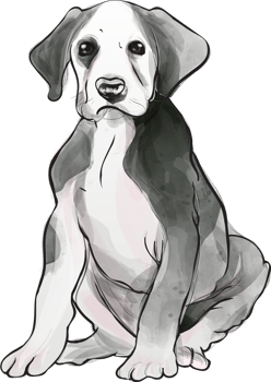 dogs puppy portrait watercolor realistic png illustration