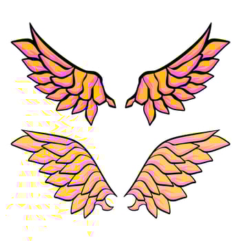 Wing illustration art vector