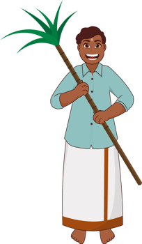 Cheerful South Indian Man Holding Sugarcane In Standing Pose. png