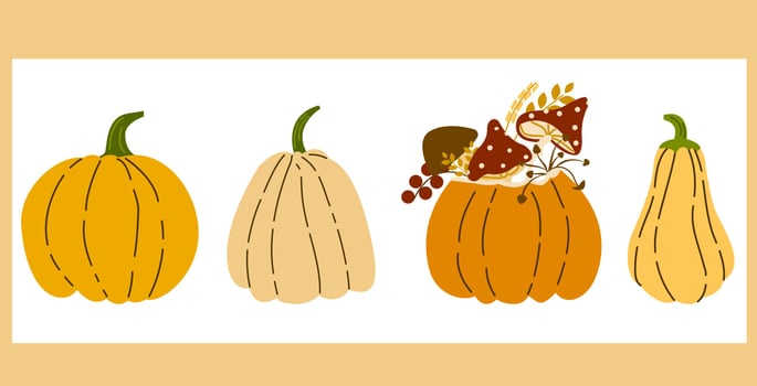 Hand drawn pumpkin set with leaves, berries, mushrooms, seeds. Autumn, fall, thanksgiving and halloween decoration. Cute pumpkins vector set