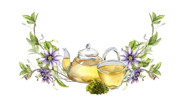 Composition of glass teapot and cup, passion flower, stem watercolor illustration. Herbal tea, health drink, leaves, flower hand drawn. Design for wrapping, menu, packaging, banner. png