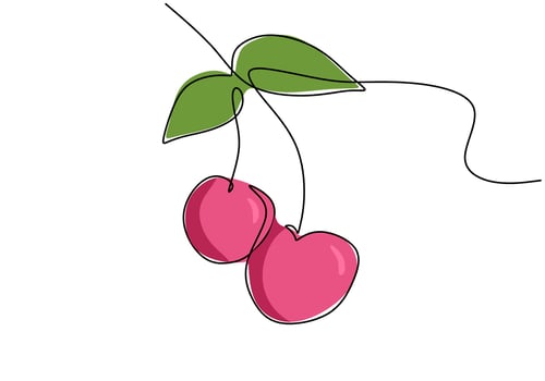 Cherry continuous one line drawing, fruit vector illustration.