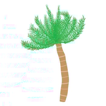 Tropical palm tree. Vector illustration
